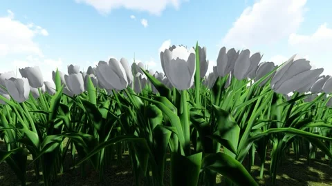 Beautiful White flower Stock Footage 338298727