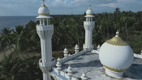 Beautiful white mosque two minarets in a grove of coconut trees Stock Footage 281845478