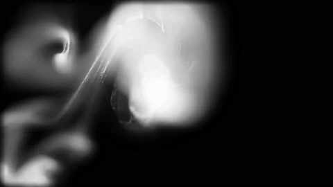 Beautiful White Particles Liquid splashing in slow motion Stock Footage 165319694