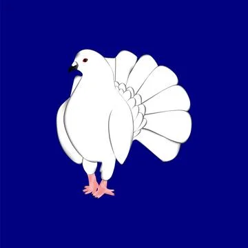 Beautiful white pigeon vector design on a white background Stock Illustration