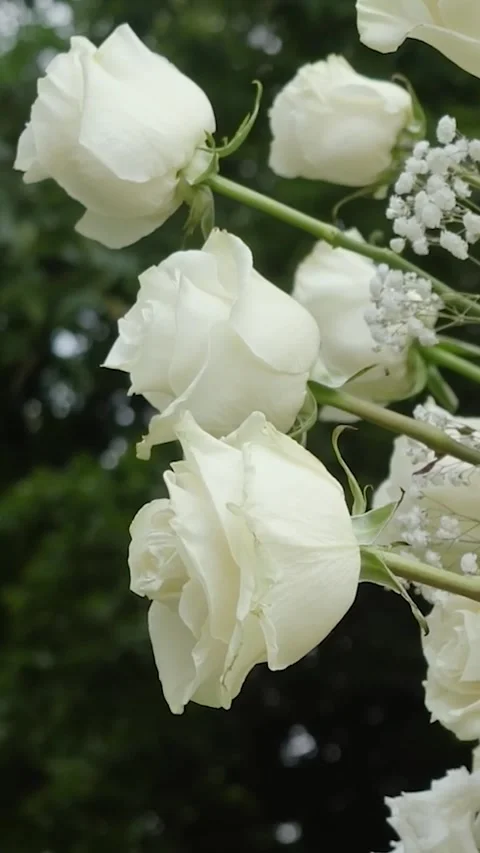 Beautiful white roses and eustoma flowers. Decor and floristry. Stock Footage 321930376