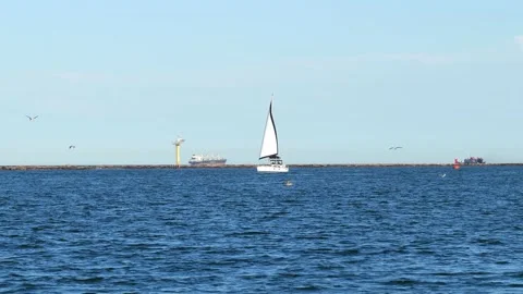 Beautiful white sailboat sails on blue water. Stock Footage 141017352