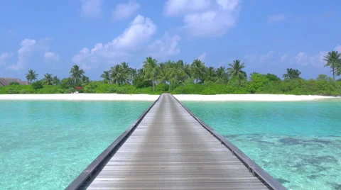 Beautiful white sand beaches and palm trees in Maldives Stock Footage 48433366