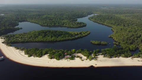 Beautiful White Sand River Beaches Along the Negro River in the Brazilian Amazon Stock Footage 342569082