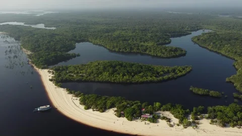 Beautiful White Sand River Beaches Along the Negro River in the Brazilian Amazon Stock Footage 342569088