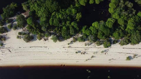 Beautiful White Sand River Beaches Along the Negro River in the Brazilian Amazon Stock Footage 342570634