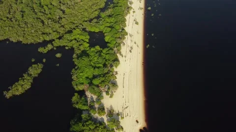 Beautiful White Sand River Beaches Along the Negro River in the Brazilian Amazon Stock Footage 342570642
