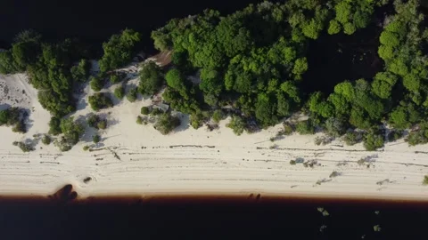 Beautiful White Sand River Beaches Along the Negro River in the Brazilian Amazon Stock Footage 342570643