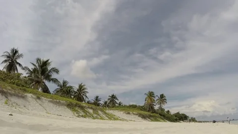 The beautiful white sand tropical beach of Varadero Video stock 79682053