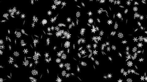Beautiful white snow particles gently falling winter weather season Vídeo Stock 344689412