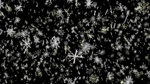 Beautiful White Snowflakes Falling Abstractly Against Black 스톡 동영상 344296756