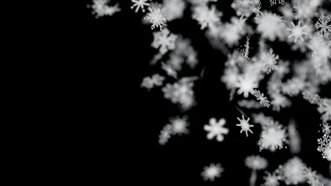 Beautiful White Snowflakes Falling Against a Dark Black Background 스톡 동영상 344689189