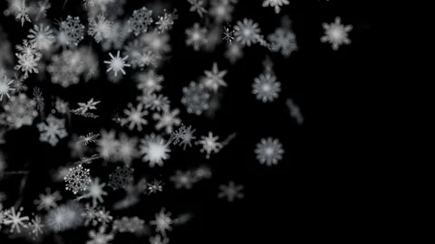 Beautiful white snowflakes falling winter overlay black background Stockbeeldmateriaal 345145689