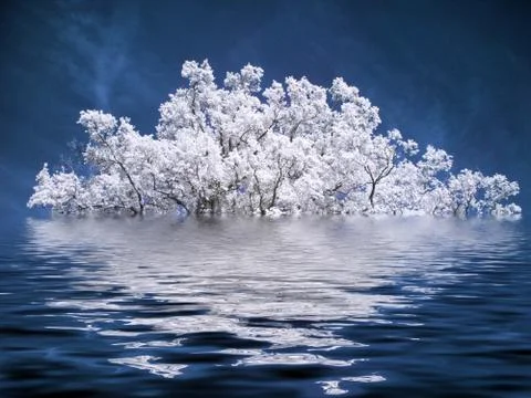 Beautiful white tree Foto stock