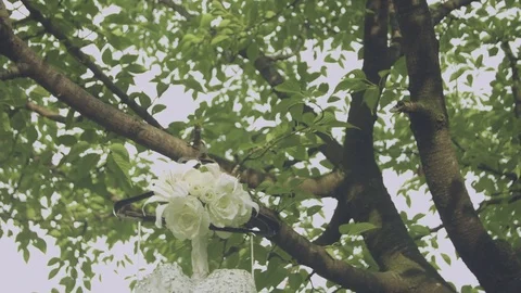 Beautiful white wedding dress hanging from tree tilt movemement Stock Footage