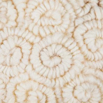 Beautiful white wool patterns - knitted background Stock Photos