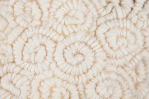 Beautiful white wool patterns - knitted background Stock Photos