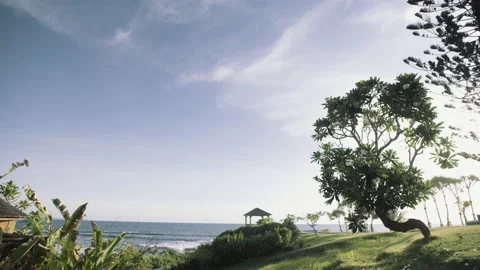 Beautiful wide static establish shot of exotic nature landscape on Bali Stock Footage 167946554