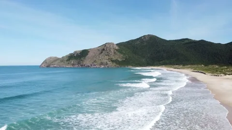 Beautiful wild coast Stock Footage 261300993