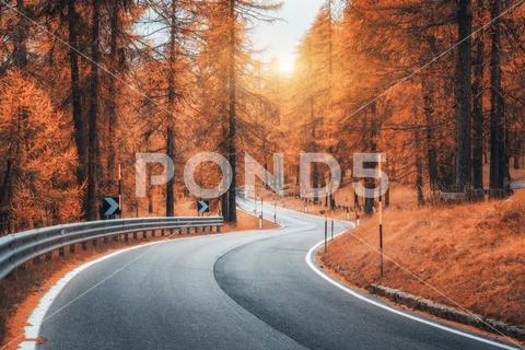 Beautiful winding mountain road in autumn forest at sunset Stock Photos