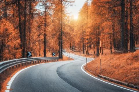 Beautiful winding mountain road in autumn forest at sunset Stock Photos