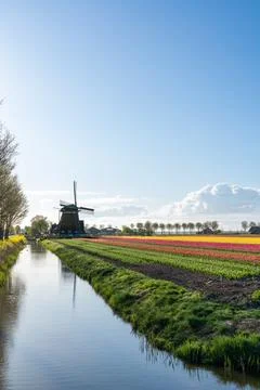 An beautiful windmill in The Netherlands Foto stock