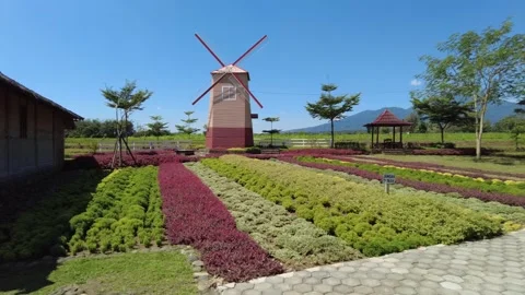 Beautiful windmills, with mountain views Stock Footage 221807522