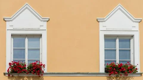 Beautiful windows with flower box and shutters Stock Photos