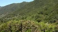 Beautiful windy countryside pan on Route Volcanoes in La Palma - Spain 4k or 4k+ Resolution