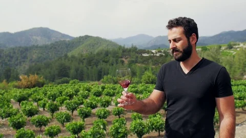 Beautiful winemaker tasting wine on the background of his vineyard plantation Stock Footage 76890801
