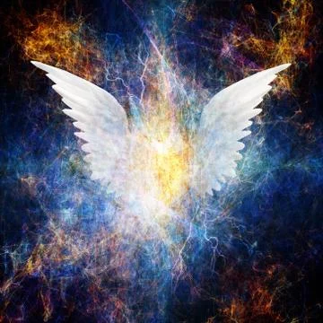 Beautiful Wing Design 스톡 일러스트