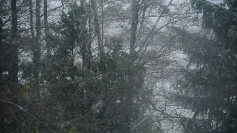 Beautiful winter background with falling snow outside on winter day. View of Stock-Footage 293859017