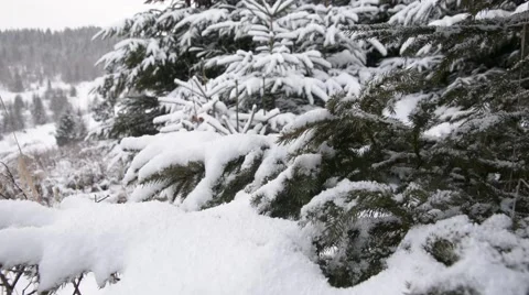 Beautiful winter background Stock Footage 60355148