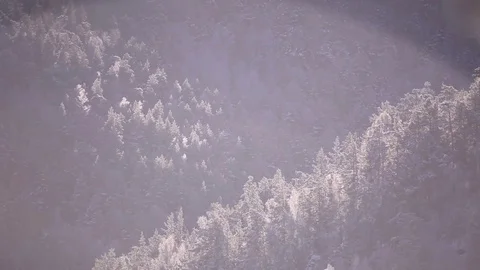 Beautiful winter background. Video stock 70046373