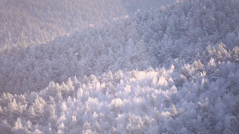 Beautiful winter background. Stock Footage 70046586