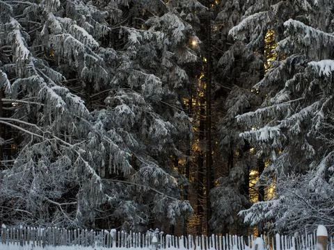 Beautiful winter background for text and postcards Stock Photos