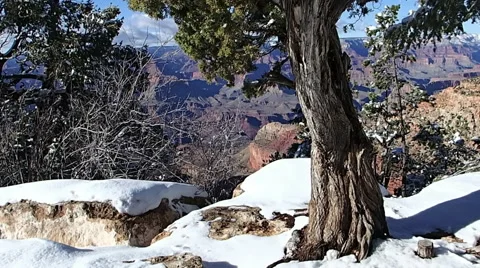 Beautiful Winter Canyon Stock Footage 50739988