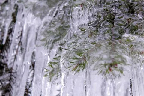 Beautiful winter composition. Stock Photos