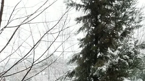 Beautiful winter Stock Footage 21992045