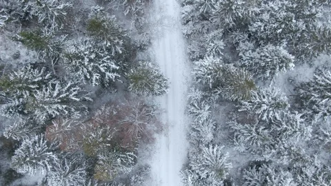 Beautiful winter forest. Aerial view from the drone. Stock Footage 100296589