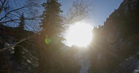 Beautiful winter forest in the mountains. Stock Footage 151975211