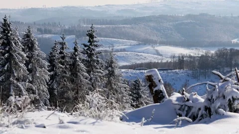 A beautiful winter forest with snow 4k 25fps video Stock Footage 326413883