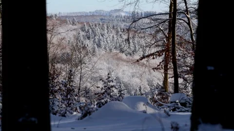 A beautiful winter forest with snow 4k 25fps video Stock-Footage 326414088