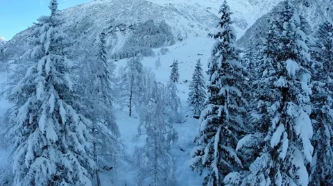 Beautiful winter forest. snow trees. flying trough. aerial view Stock Footage 34560137