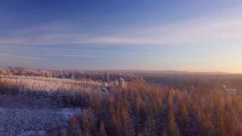 Beautiful winter forest with snowy trees in 4k aerial video. Stock Footage 166693531