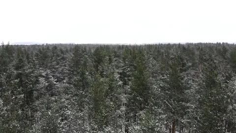 Beautiful winter forest top view. Drone video, winter forest. Stock-Footage 146993509