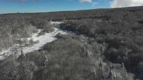 Beautiful winter forest. Trees covered with hoarfrost and snow. Aerial shoot Stock Footage 116786220