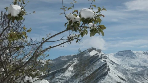 Beautiful winter High mount view Stock Footage 121399466