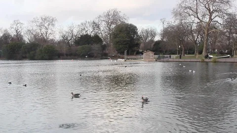 Beautiful Winter Lake Video stock 86385868
