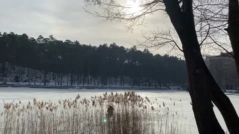 Beautiful winter lake in the forest Stock Footage 149665174